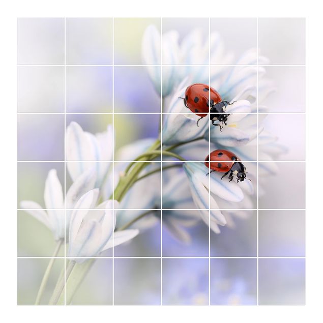 Tile sticker - Ladybird Couple