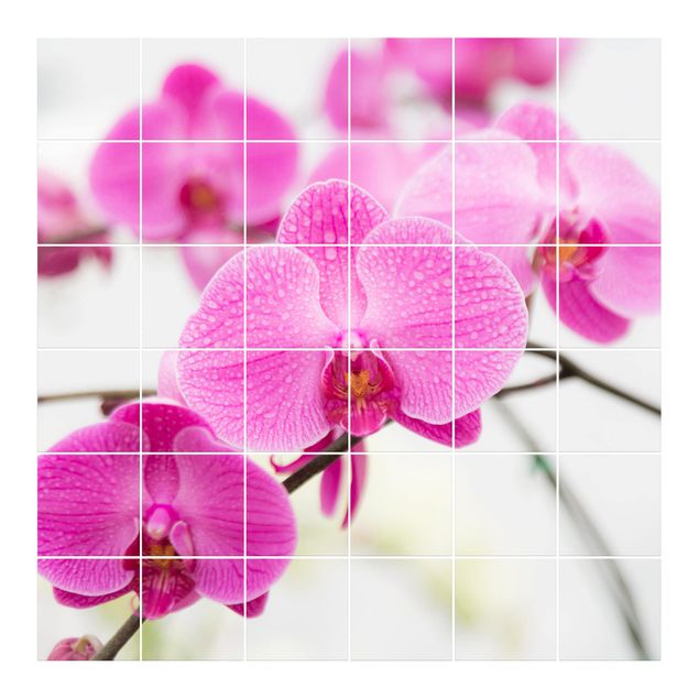 Tile sticker - Close-Up Orchid