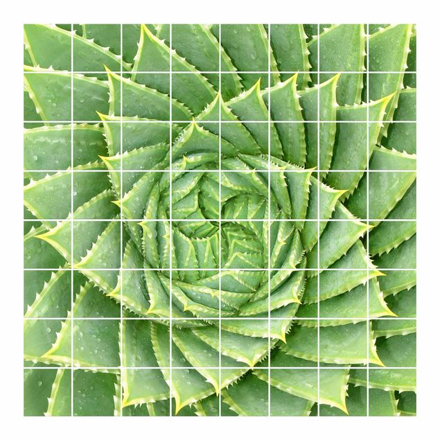 Tile sticker - Spiral Aloe