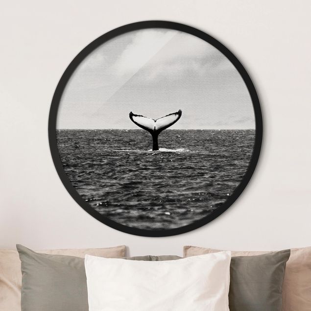 Framed prints round Tail Fin In Mid Ocean