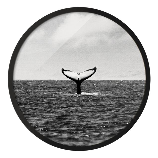 Circular framed print - Tail Fin In Mid Ocean