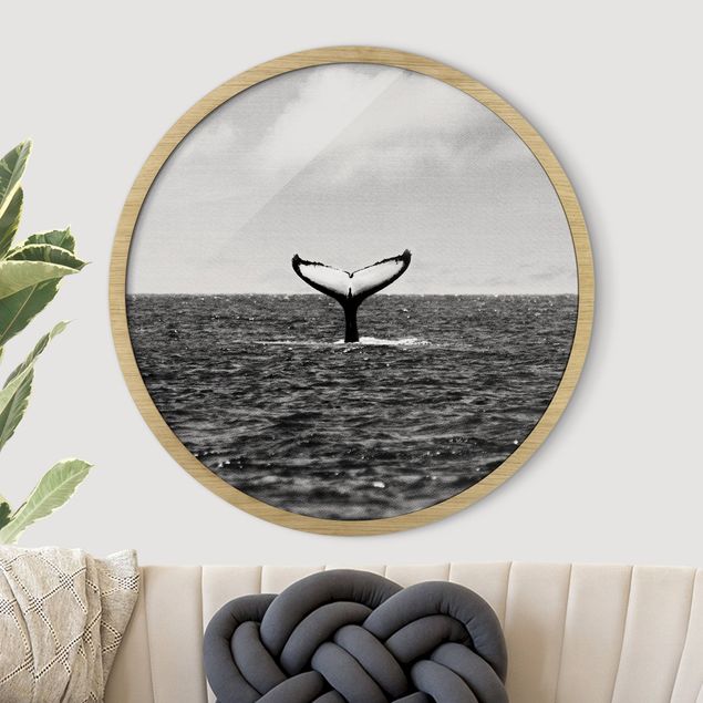 Framed prints round Tail Fin In Mid Ocean