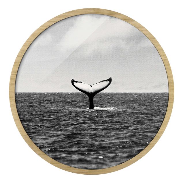 Circular framed print - Tail Fin In Mid Ocean