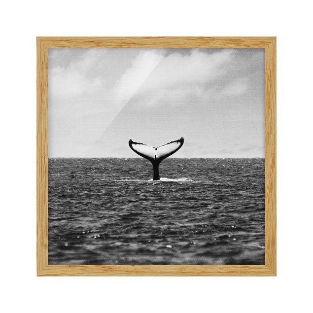 Framed poster - Tail Fin In Mid Ocean