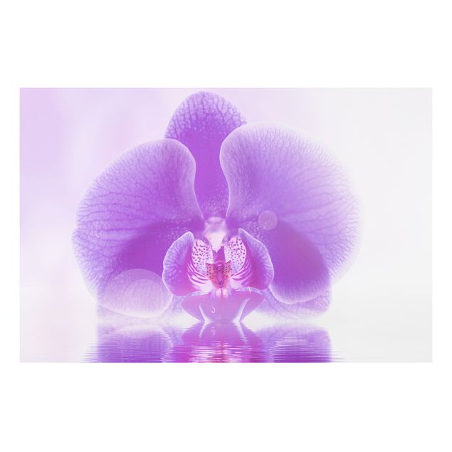 Forex print - Purple Orchid On Water