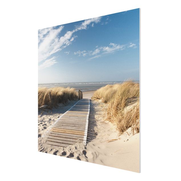 Forex print - Baltic Sea Beach