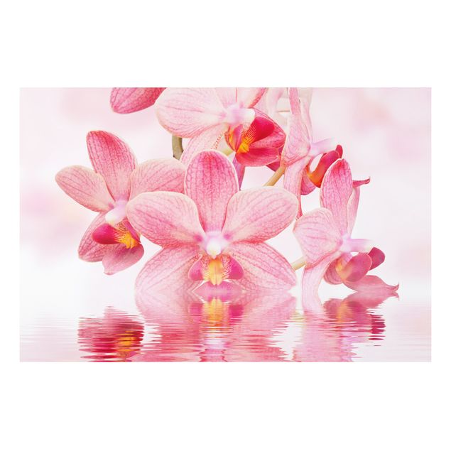 Forex print - Light Pink Orchid On Water