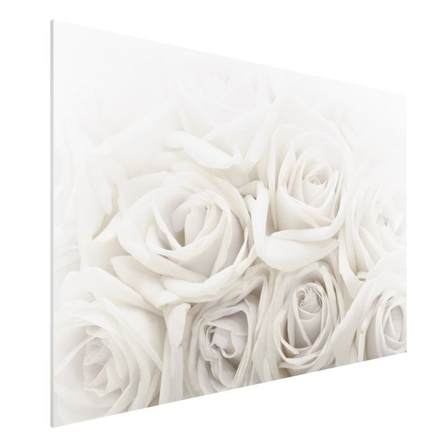 Forex print - White Roses