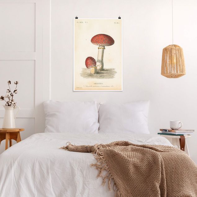 Poster art print - French mushrooms II