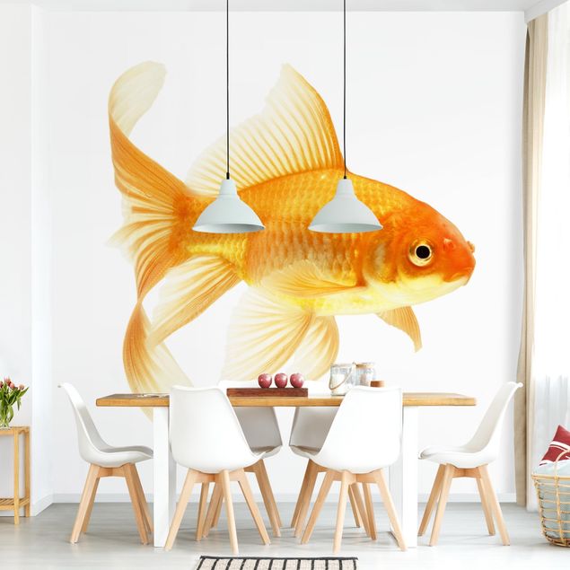 Wallpapers Ms Goldfish