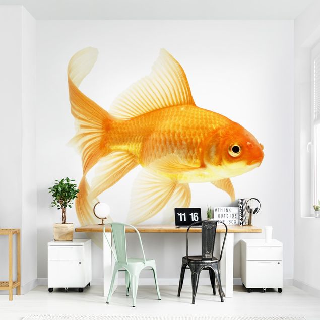 Wallpaper - Ms Goldfish