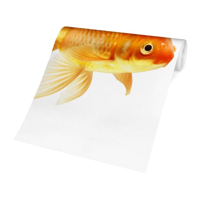 Wallpaper - Ms Goldfish
