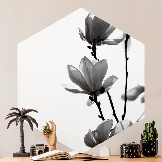 Wallpapers Herald Of Spring Magnolia Black And White