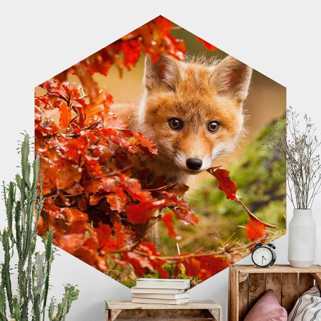 Hexagonal wall mural Fox In Autumn