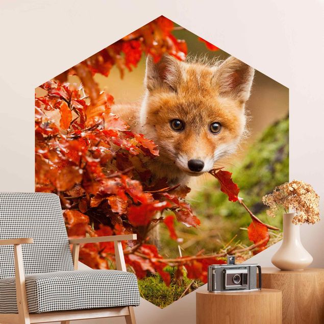 Wallpapers Fox In Autumn