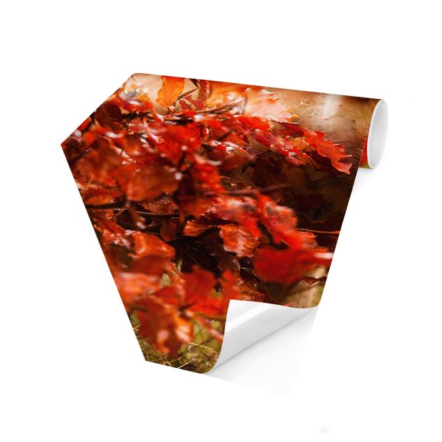 Self-adhesive hexagonal pattern wallpaper - Fox In Autumn