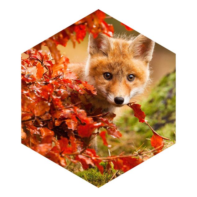 Self-adhesive hexagonal pattern wallpaper - Fox In Autumn