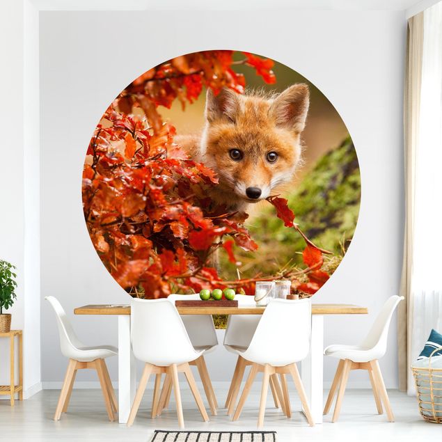 Wallpapers Fox In Autumn