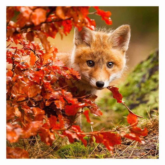 Wallpaper - Fox In Autumn
