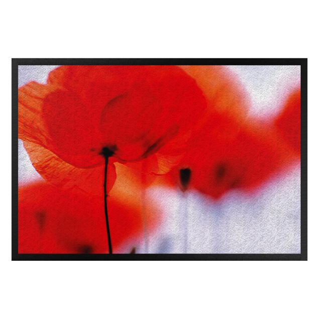 contemporary rugs Magic Poppies
