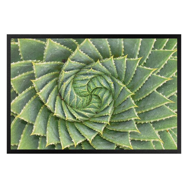 Modern rugs Spiral Aloe