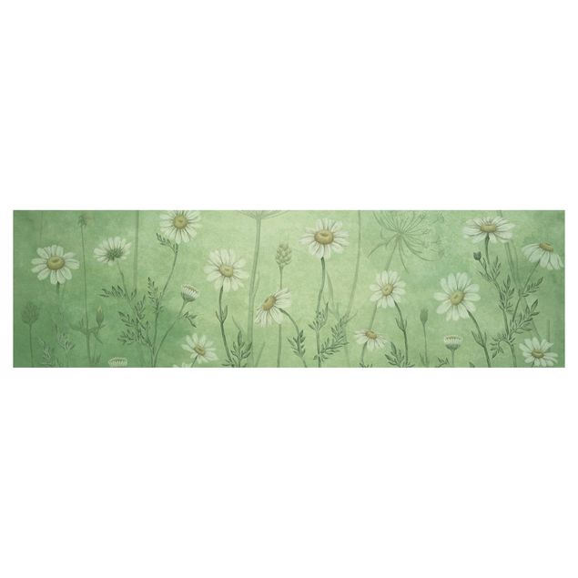 Kitchen wall cladding - Daisies in the green mist