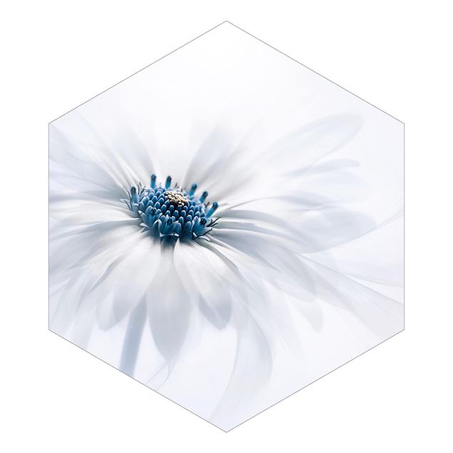 Self-adhesive hexagonal pattern wallpaper - Daisy In Blue
