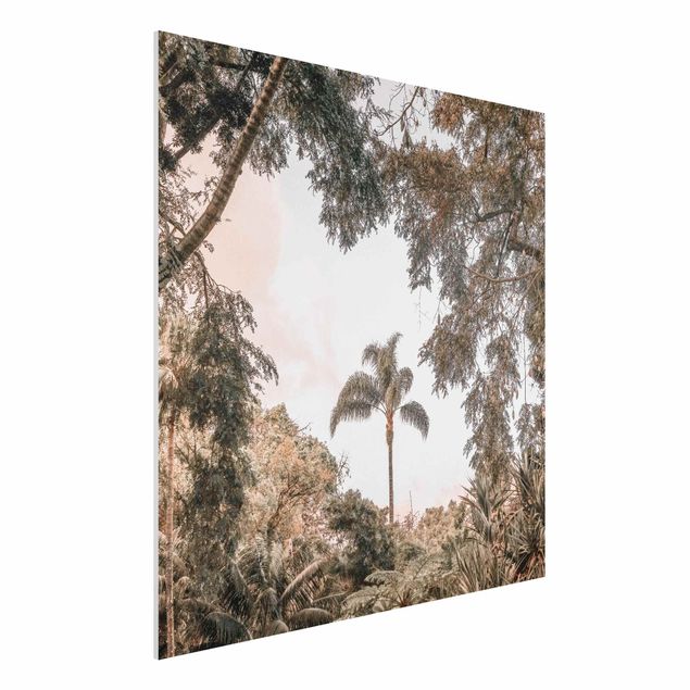 Print on forex - Garden In Madeira - Square 1:1