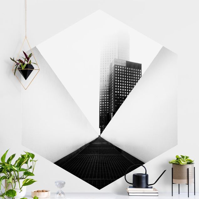 Hexagonal wall mural Geometrical Architecture Study Black And White