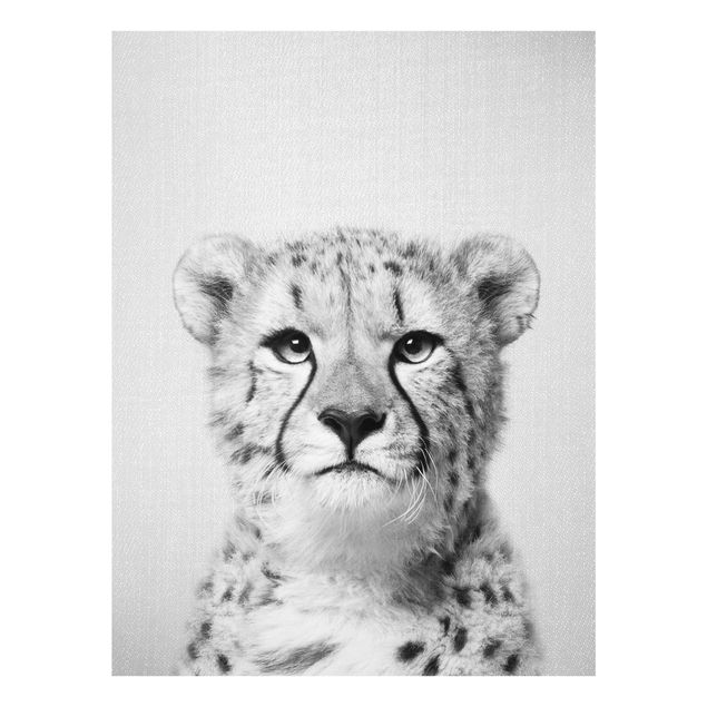 Glass print - Cheetah Gerald Black And White