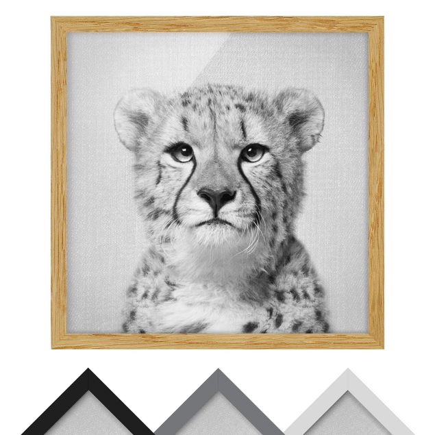 Framed poster - Cheetah Gerald Black And White