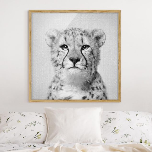 Framed poster - Cheetah Gerald Black And White