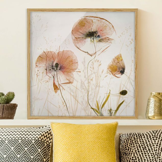 Framed poster - Dried Poppy Flowers With Delicate Grasses