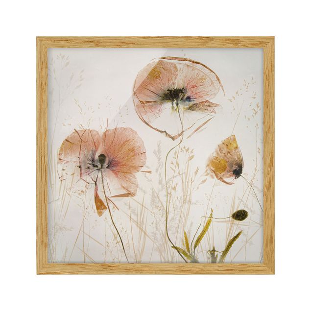 Framed poster - Dried Poppy Flowers With Delicate Grasses