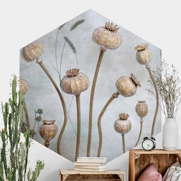 Self-adhesive hexagonal wall mural Dried Poppy Flower