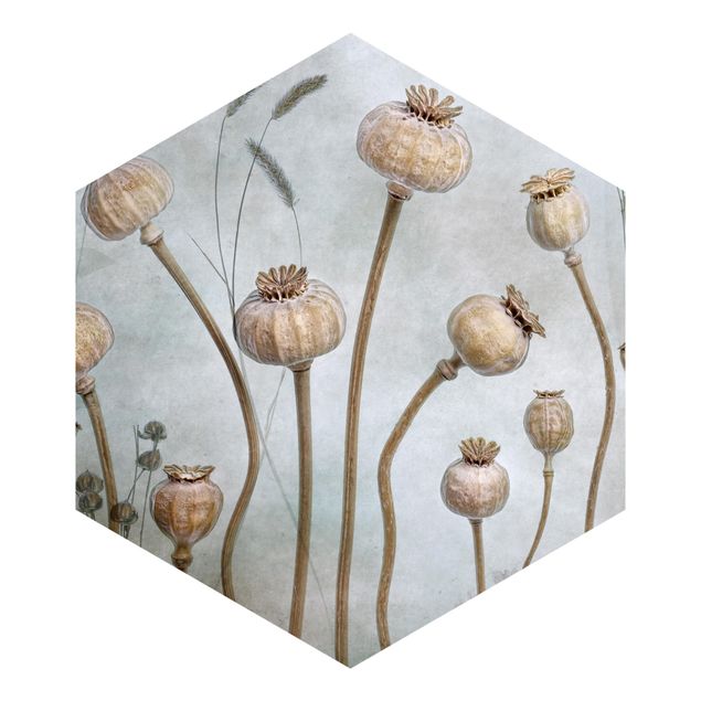Self-adhesive hexagonal pattern wallpaper - Dried Poppy Flower