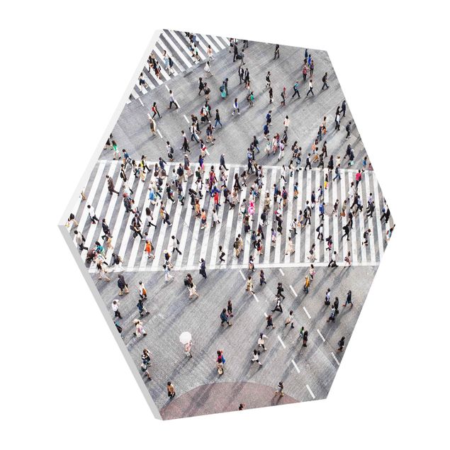 Forex hexagon - Bustle From Above