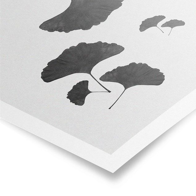 Poster - Ginkgo Composition In Black And White