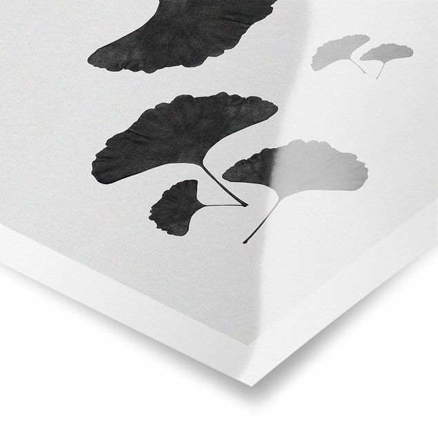 Poster - Ginkgo Composition In Black And White