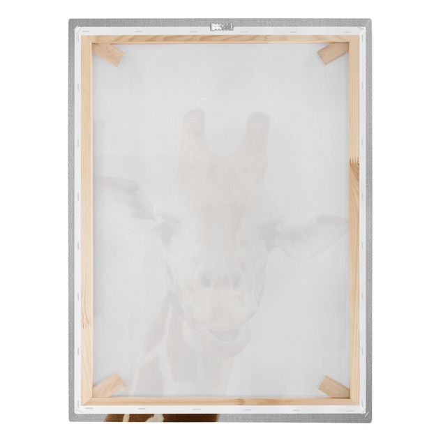Canvas print - Giraffe Gundel - Portrait format 3:4