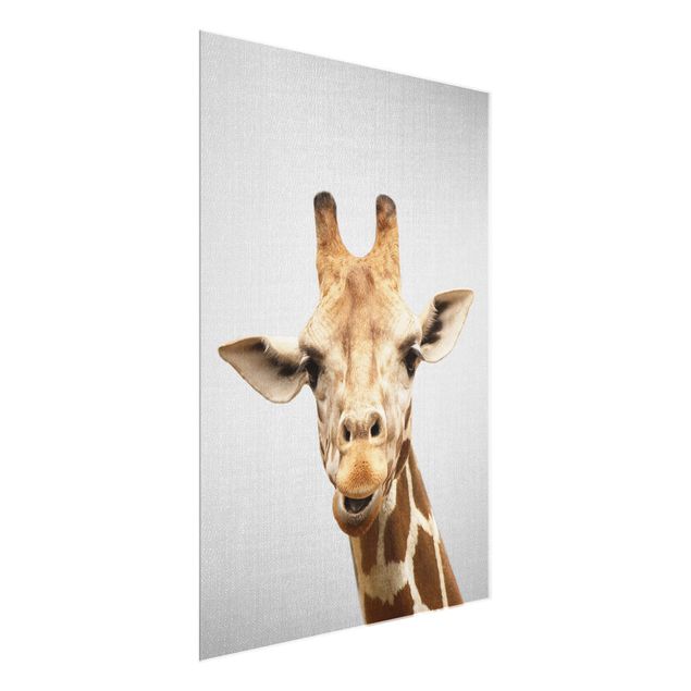 Glass print - Giraffe Gundel