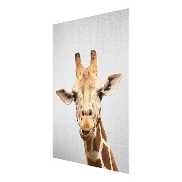 Glass print - Giraffe Gundel