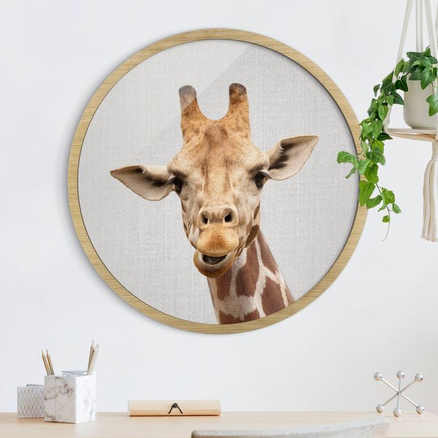 Framed prints round Giraffe Gundel