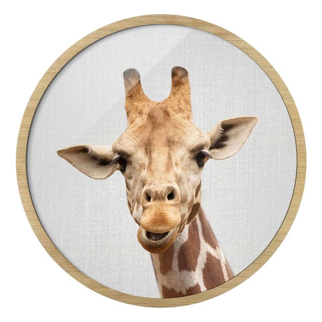 Circular framed print - Giraffe Gundel