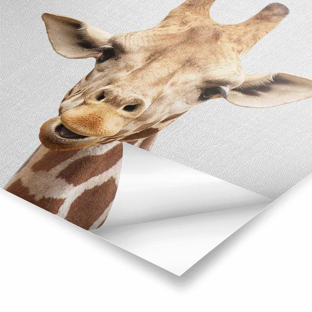 Poster art print - Giraffe Gundel