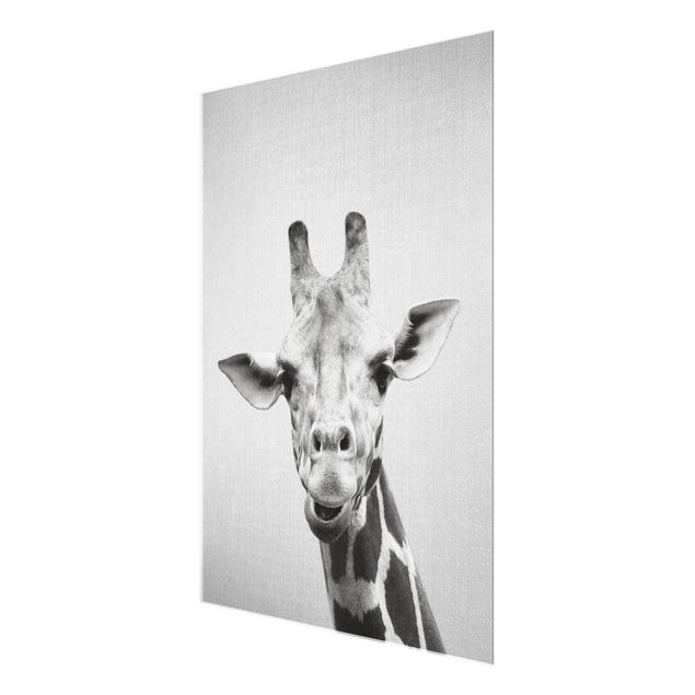 Glass print - Giraffe Gundel Black And White