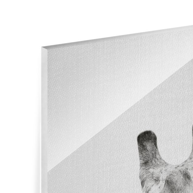 Glass print - Giraffe Gundel Black And White