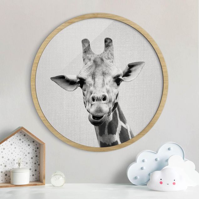 Framed prints round Giraffe Gundel Black And White