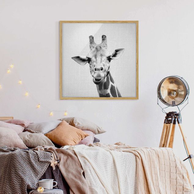 Framed poster - Giraffe Gundel Black And White