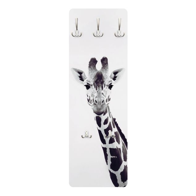 Coat rack modern - Giraffe Portrait In Black And White
